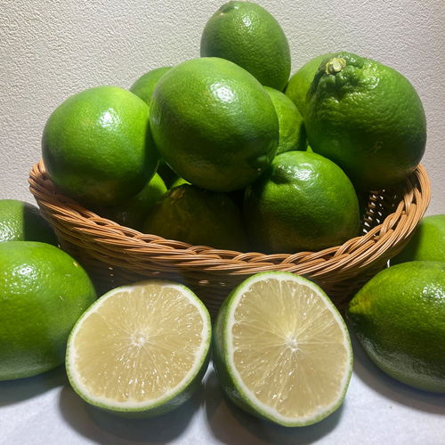 璃の雫10kg箱入り（テスト用商品）