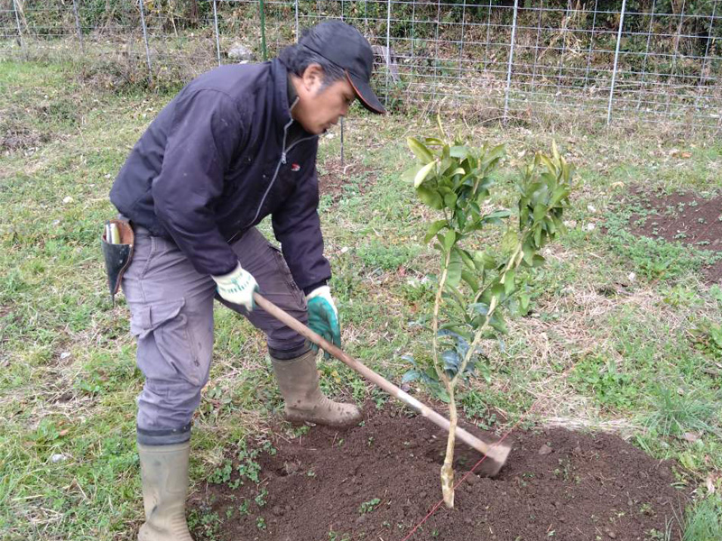 みのRe:ファーム風景
