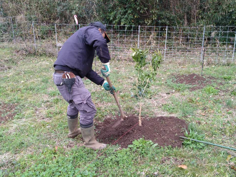 みのRe:ファーム風景