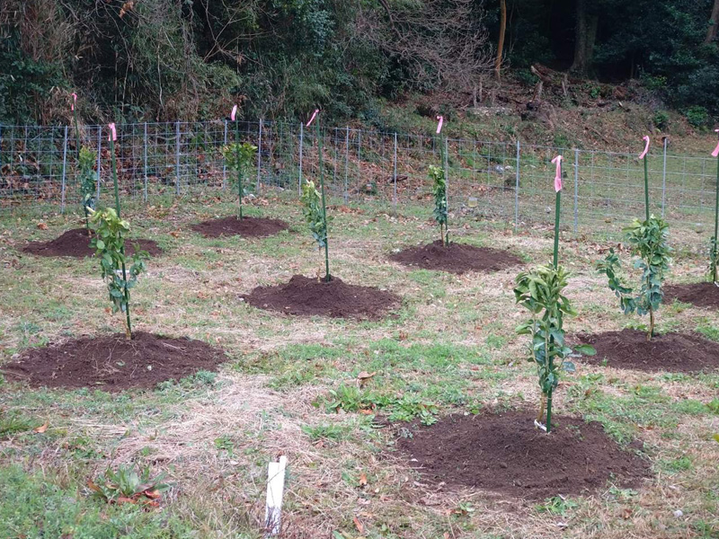 みのRe:ファーム風景