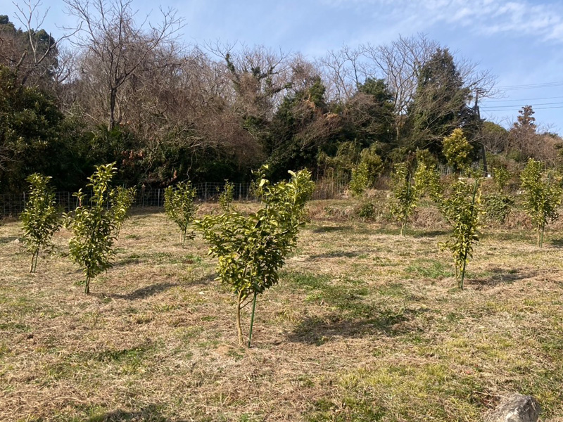 みのRe:ファーム風景