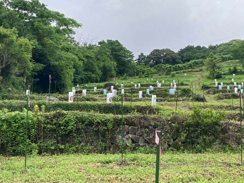 みのRe:ファーム風景