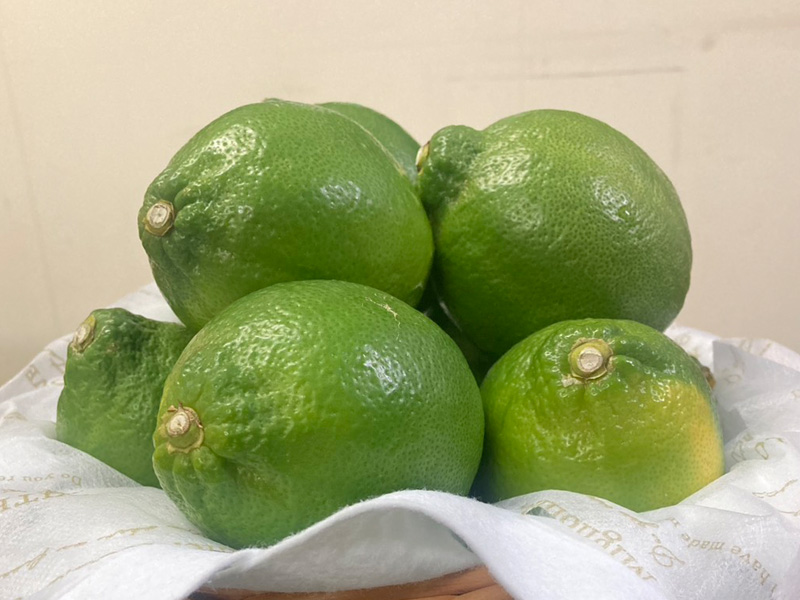 みのRe:ファーム風景