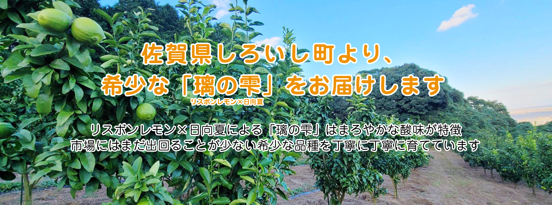 みのRe:ファーム