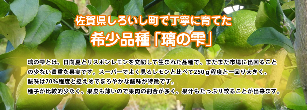 佐賀県白石町で丁寧に育てた希少品種「璃の雫」